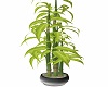 Steel Potted Bamboo 4