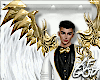 [Ae] Gold Angel Wings