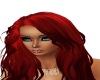 FEISTY RED