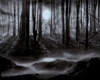 Spooky Dark forest