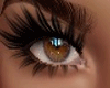 EYES BROWN