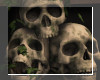 Skulls w.Vines