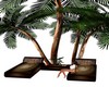 TROPICAL PALM RECLIN