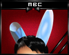 Bunny Ears Blue 2
