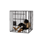 Locked Up Piggy Bank GA