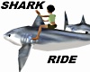 Killer Shark Ride
