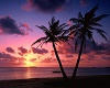 Background Beach sunrise
