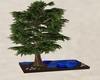 Deck w/tree - blues