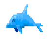 Little swimming dolphin