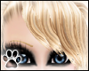  ¨Faded Blonde - Kim Ban