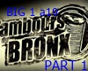 TONNER DU BRONX