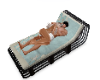 Haven Lounger