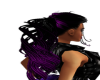 black & purple tail