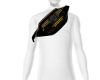 Bag C.D.L