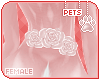 [Pets]Valerie|back roses