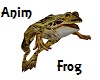 Frog Anim