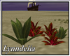 ~L~Shipwreck- Plant Set