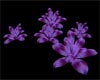 Magic furni.flowers/npos