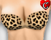 Betty Page Leopard Bra2