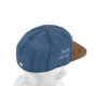 hat plug