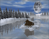 Winter Day Cabin