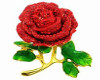 Rose for Love