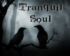 Tranquil Soul