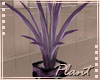 [2L] Plant 2