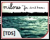 [TDS]Milow-you dont know
