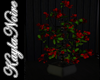 POTTED TREE PLANT RED
