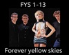 fys- The cranberries