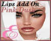 PINK DUSK LIPS ADD-ONℰ