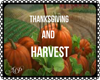 16 Harvest &Thanksgivin