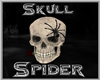 Spider & Skull