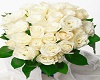 White handheld rose