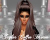 Taylor Coffee Brown