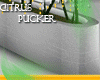 Pucker Plant