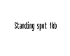 StandingSpot- 1KB