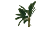 Plant add-on