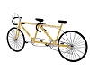 Gold Bicycle for Two