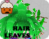 [CS] Hair leaves