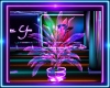 Neon Club PLant