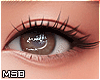 B | Brown Shiny Eyes F/M