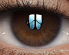 Eyes