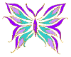 HW: Butterfly
