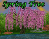 Weeping Spring Tree