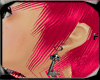 *D Skull key Pluggs F