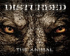 disturbed -the animal