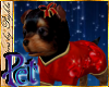 I~Yorkie*Sweetheart Pet