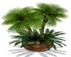 Carved Potted Palm Tree